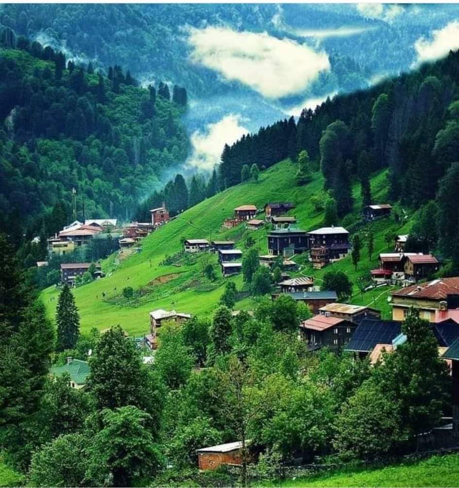 Rize, Çamlıhemşin Ayder Yaylası