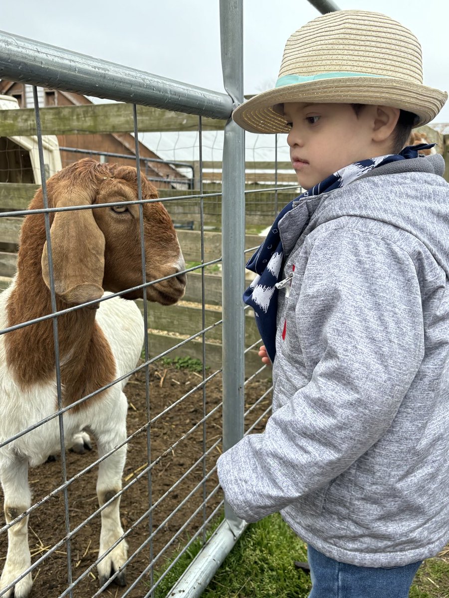 Students from the Bay Shore Pre-Kindergarten Center visited the Yaphank Farm to learn more about the farm and its animals. #ItsAShoreThing