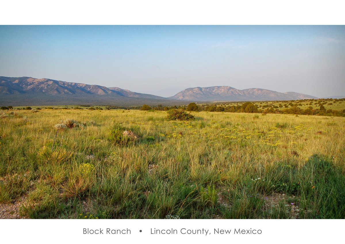 Block Ranch
Lincoln Co, NM
49,194± total acres
bit.ly/BlockRanch

Dwain Nunez
505.263.7868

Jim Welles
505.967.6562

#csmandson #forsale #land #landforsale #ranch #ranching #ranchforsale #ranchlife #hunting #nmranch #lincolncounty #blockranch #cattleranch #spring #capitan
