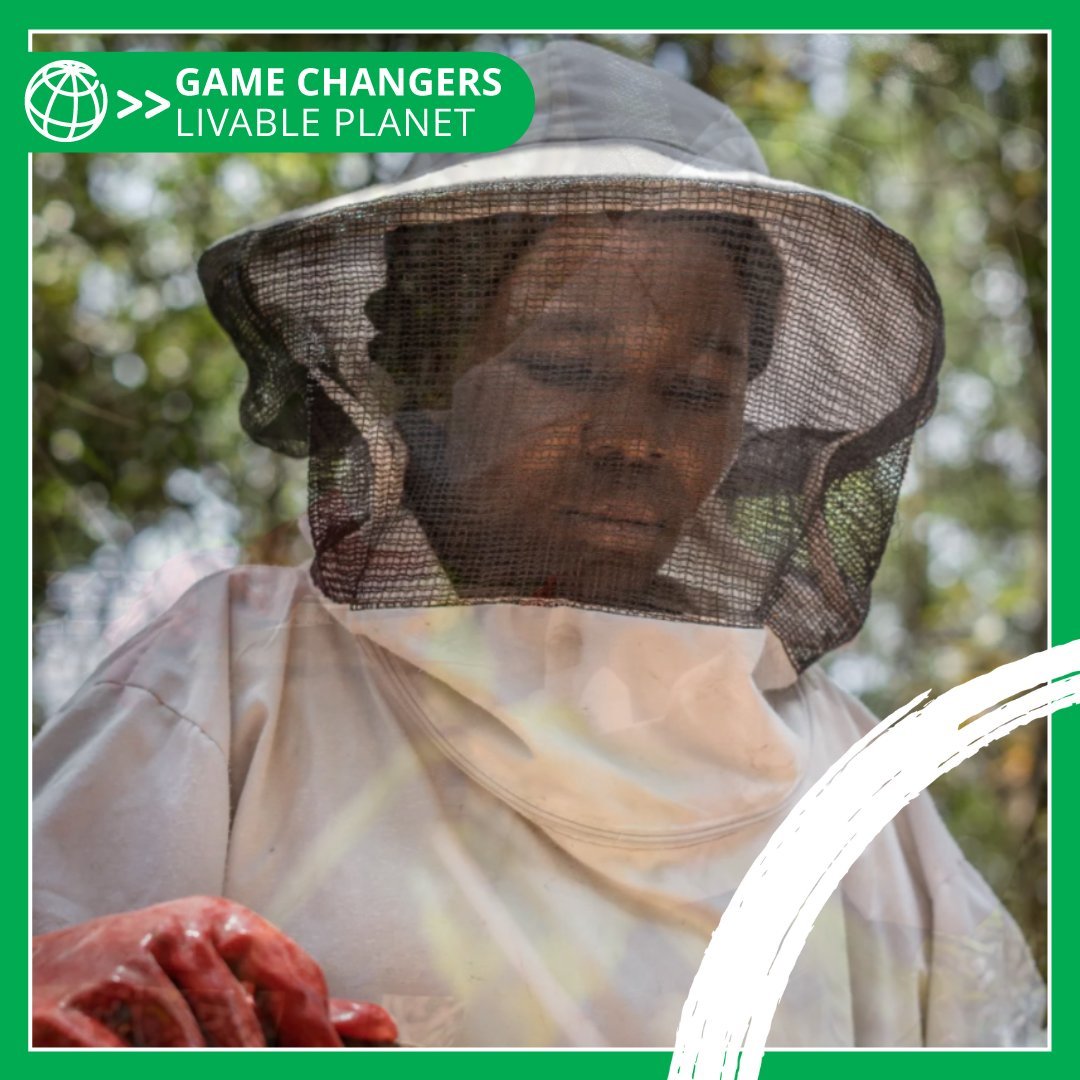 The Congo Basin is vital to Africa and the world. Through activities like beekeeping, local communities are protecting biodiversity of the region and earning income➡️wrld.bg/2xm050QZasx 

#ForestsForUs #LivablePlanet

@WorldBankAfrica @WBG_Climate