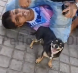 Barb Cas tweet media