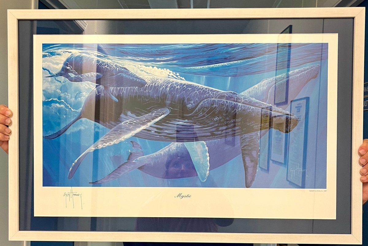 Check out these gorgeous Guy Harvey prints that will be up for bid at our silent auction on Saturday!😍 Mackerel Run Down - Signed and Numbered by Guy Harvey. Mystic - Signed by Guy Harvey.