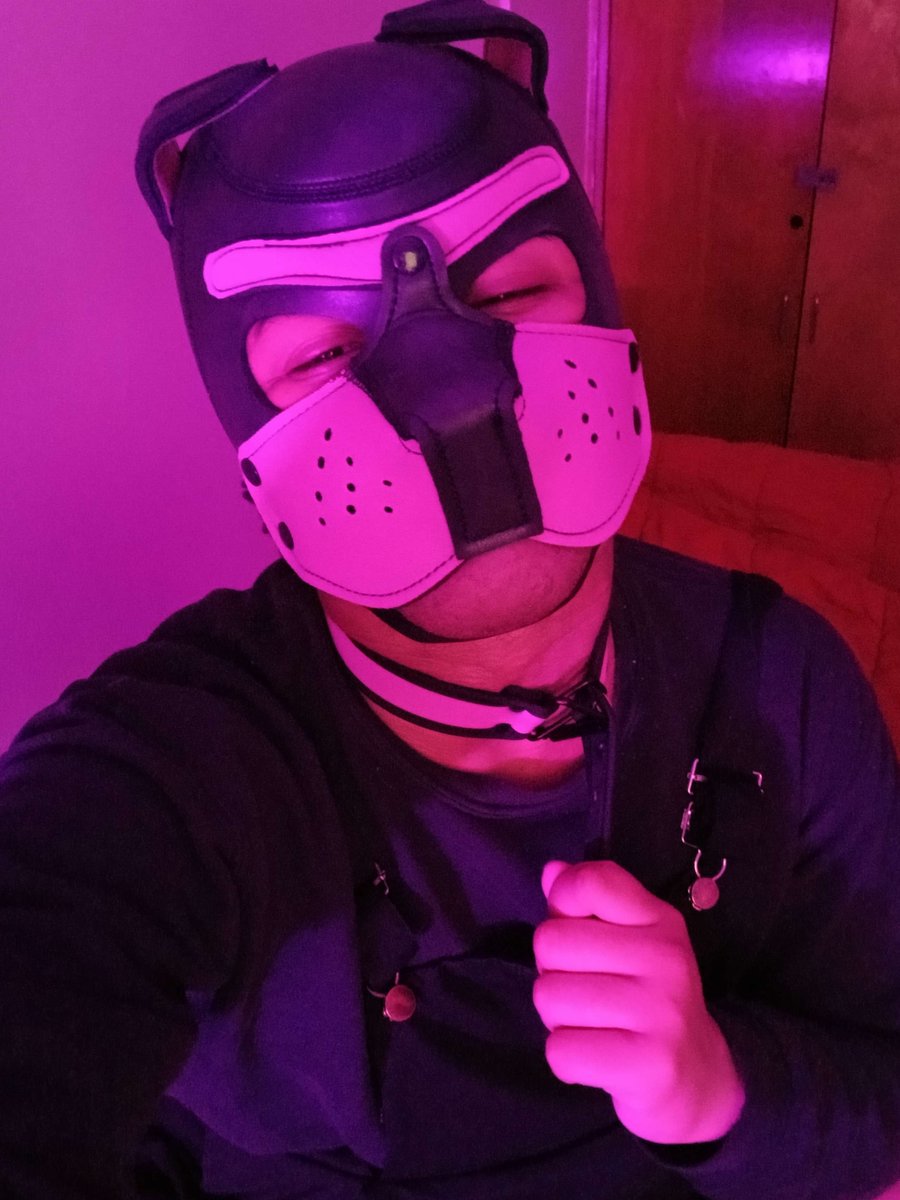Come pull on my collar

#GayPup #PupPlay #HumanPup #GayPuppy