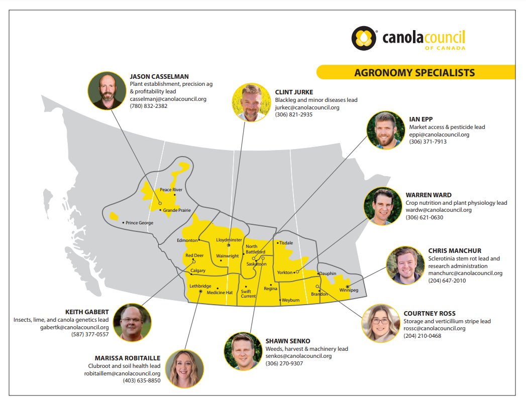 Hey CDN Ag X, Do you know all your CCC Agronomy Specialists who are here to help you grow canola more profitably & sustainably? Our new specialists: @rossCCC_ @ManchurCCC and @RobitailleCCC Our more 'senior' specialists: @EppCCC @gabertccc @WardCCC @senkoccc & Jason Casselman