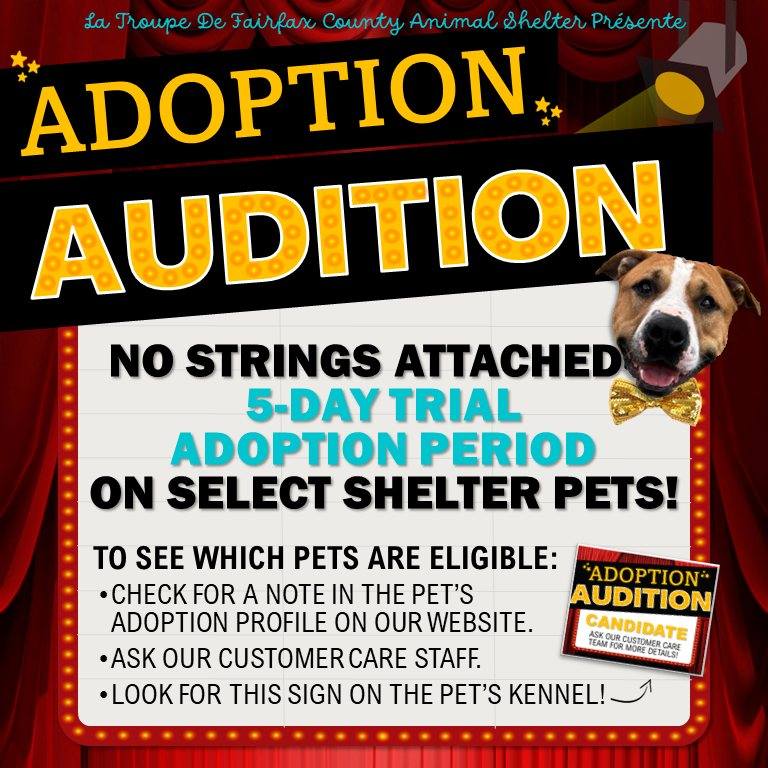 #ICYMI @fairfaxanimals introduced a new program: Adoption Audition, a no-strings-attached, five-day adoption trial on select shelter pets 🐶 For more information on Adoption Auditions, visit bit.ly/3vMiCg1.