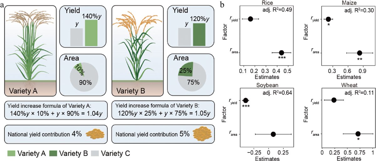#SeedBio Planting high-yielding varieties widely can narrow the yield gap and increase overall crop yield per unit area. #YieldGap @MaximumAcademic Details: maxapress.com/article/doi/10…