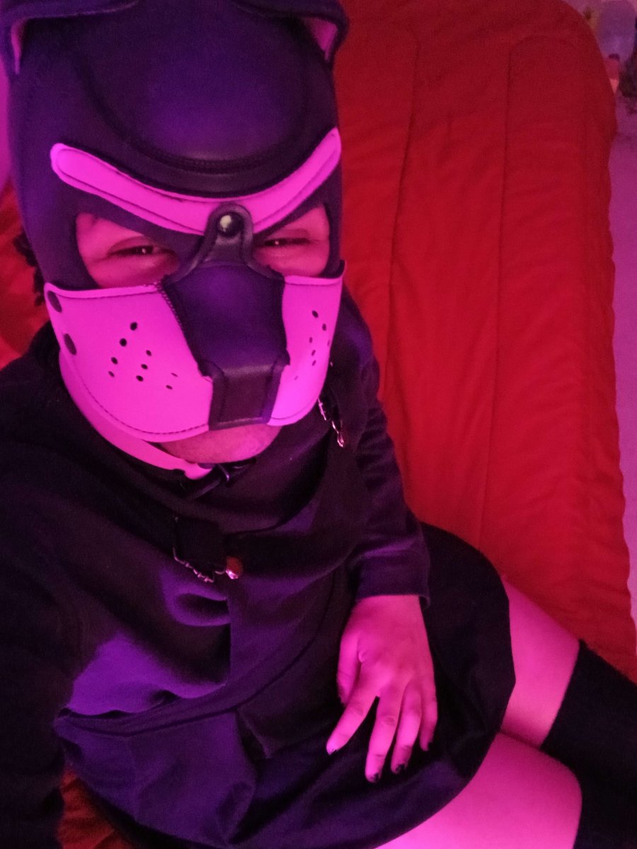 Really liking this outfit

#GayPup #PupPlay #HumanPup #GayPuppy