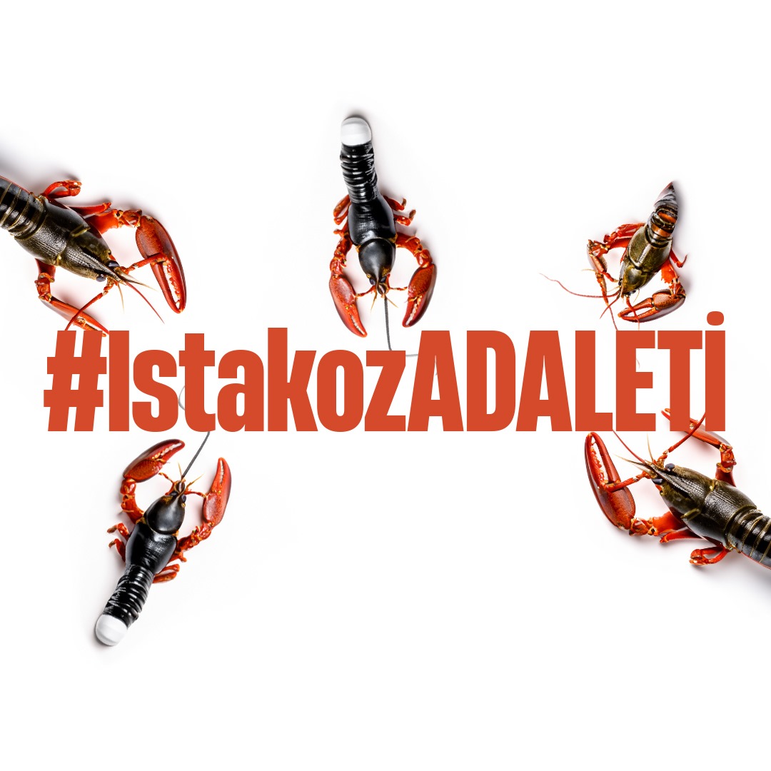 'Devletin dini adalettir.' #IstakozADALETİ