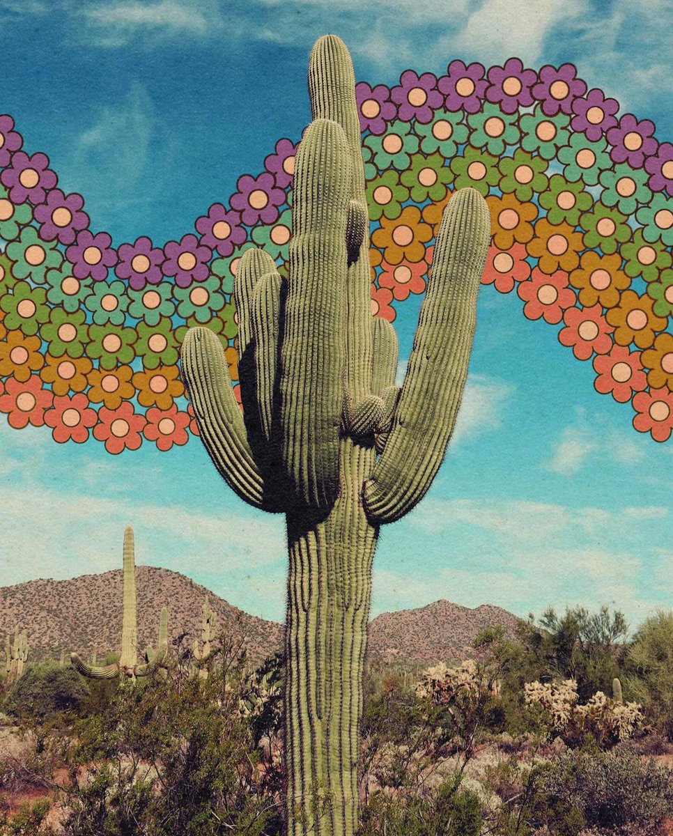 Flowers? Rainbows? Cacti? by April Seelbach 🌸🌈🌵
#psychedelic #trippyart #artworks #art #trippy