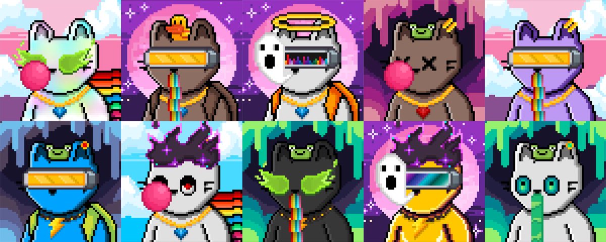 🐱Cat community, we need your help

✅RT this post, Like and Tag 2 people

We want to contribute to the growth of the cat community in this space.

🚨We are LIVE MINT right now launchpad.heymint.xyz/mint/calicos