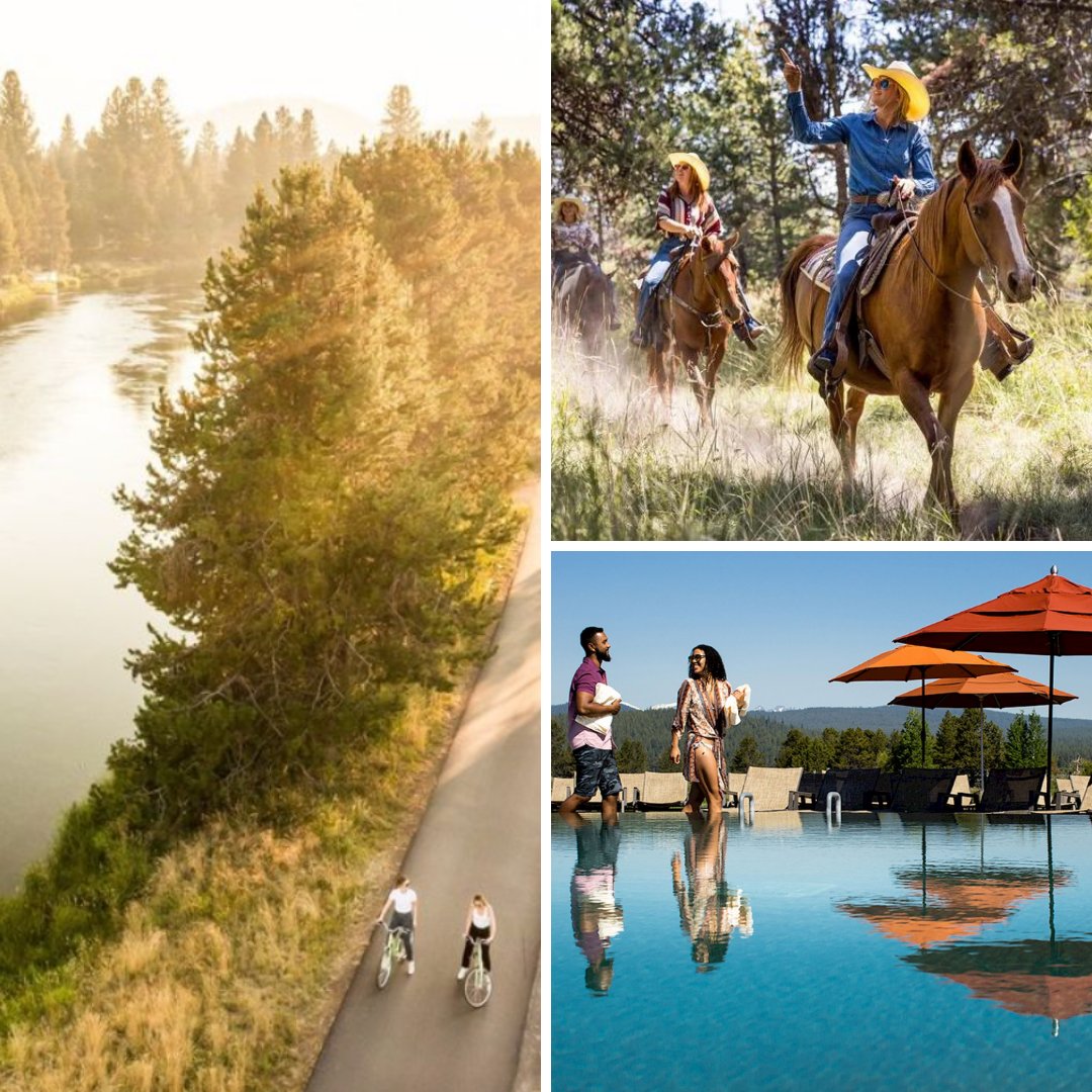 SweetGeorgia Yarns tweet media