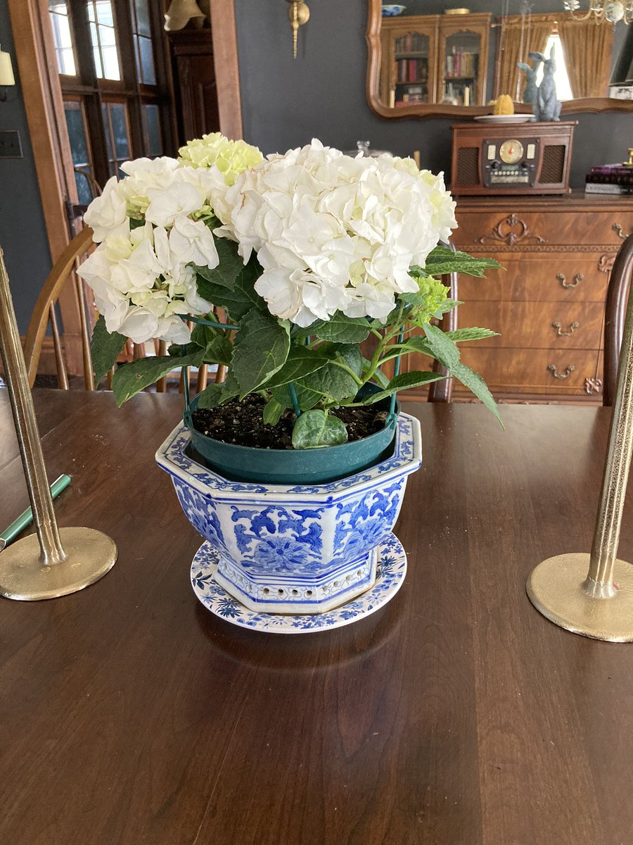 Jean-Maré Gagliardi🇿🇦 tweet media