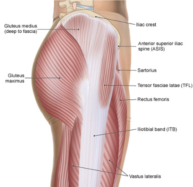 This week's #ClinicalInsight reflects on the management of lateral hip pain. 

We recently ran a #CPD session on interventions around tendinopathy &amp; persistent joint pain. 

Lateral hip pain is a condition that we come across often.

Full piece: bit.ly/3vOqe1D

🧵1/6