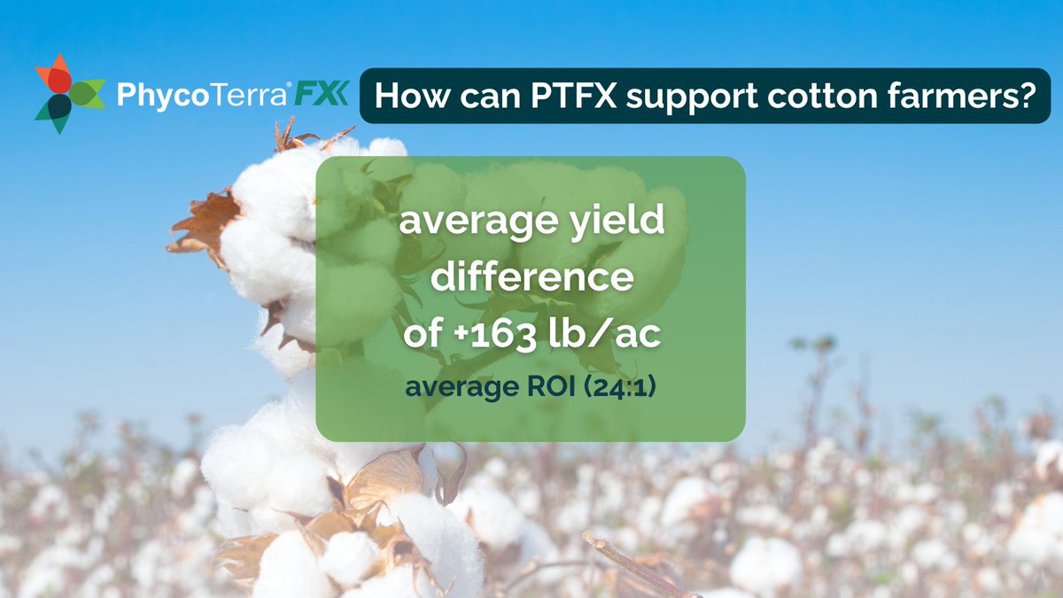 Cotton farmers – Interested in an average yield difference of +163 lb/ac? PhycoTerra® FX can help you unlock this yield potential. Fill out a contact form on our website to learn more. #Cotton