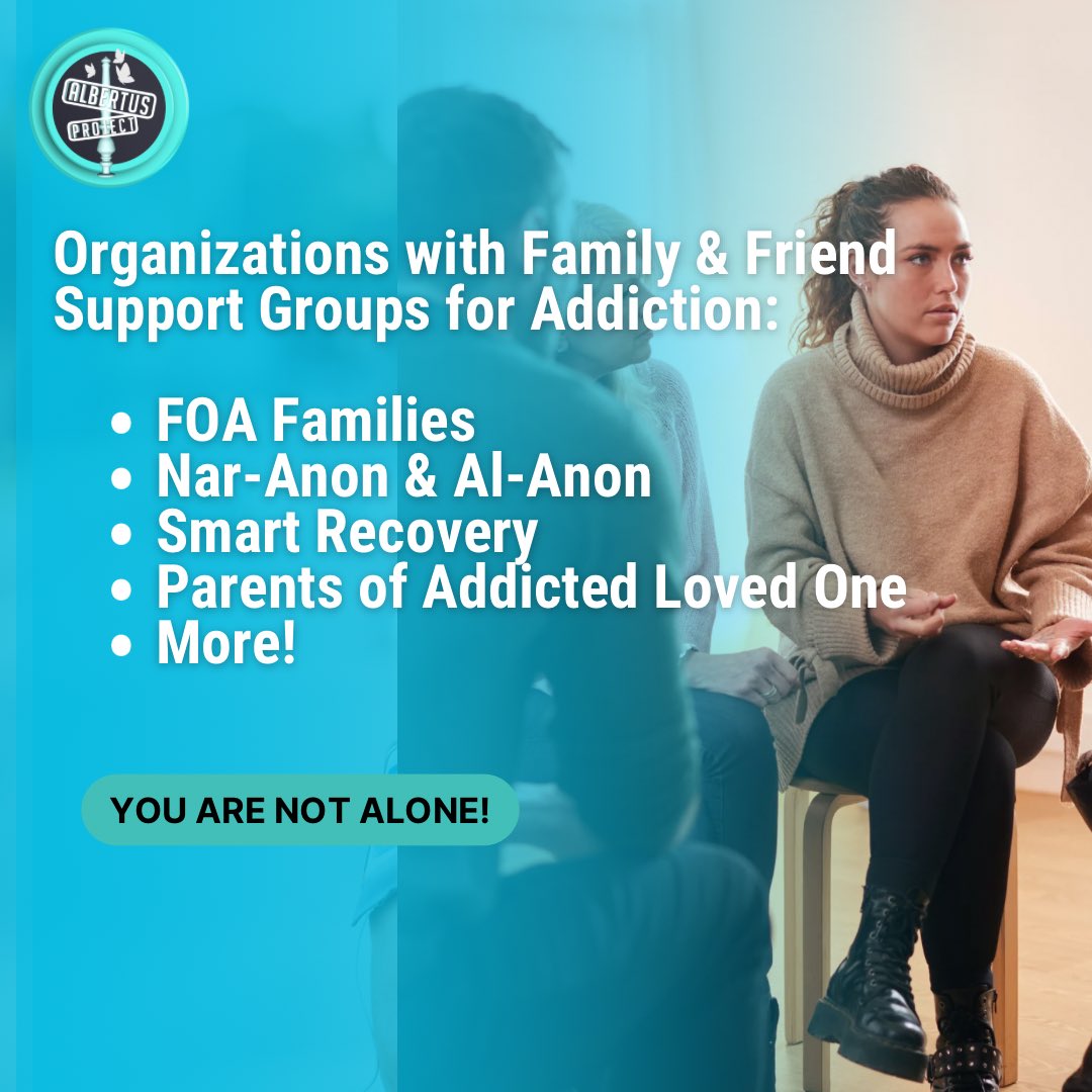 Albertus Project tweet media