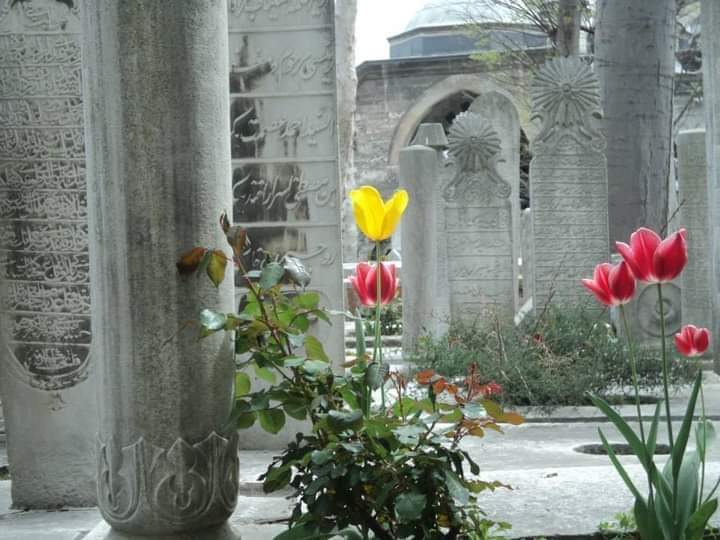 İşte geldim işte gittim Yaz çiçeği gibi bittim Şu dünyada ne iş ettim Ömürcüğüm geldi geçti! | Kul Himmet 📷 Bahariye Yolu, Eyüp Sultan'dan.