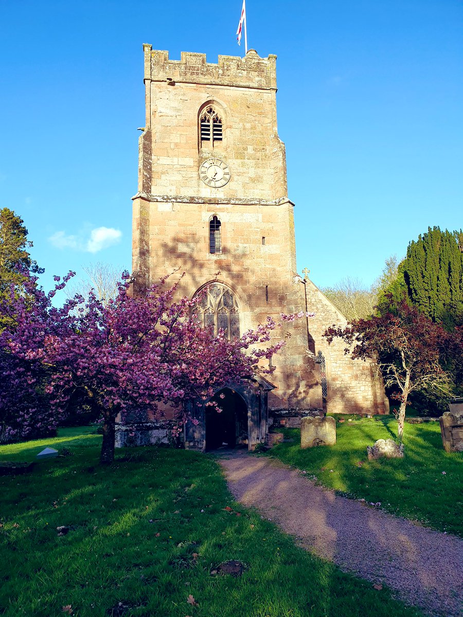 The cherry tree at St Edburga’s, Leigh, is looking absolutely glorious 😍 #spring