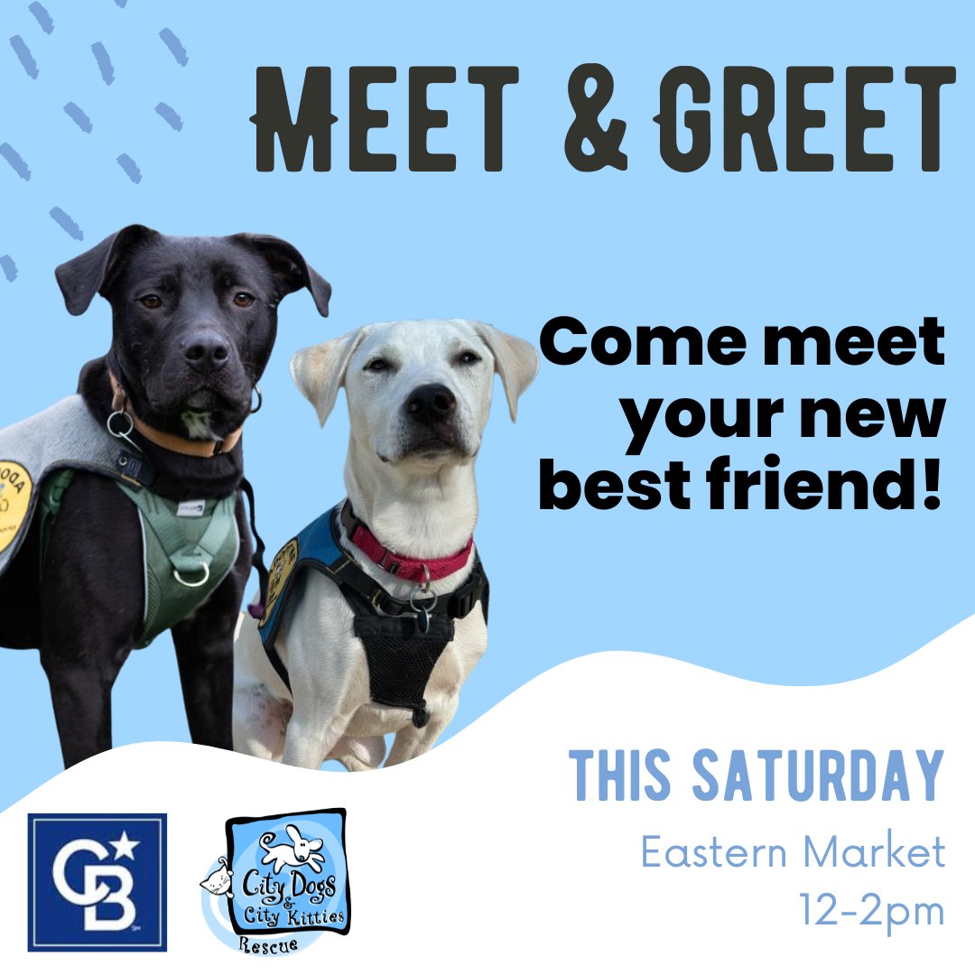 We are so excited for you to meet Archer, Carsiri, and more of our adoptable pups this Saturday! 💖 Stop by Coldwell Banker Realty @ Eastern Market (350 7th St SE, Washington, DC 20003) from 12-2pm.
