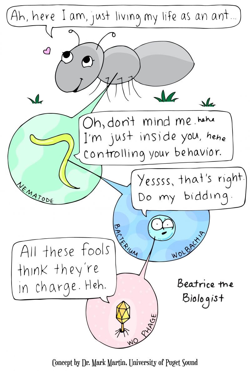 In honor of my #MattersMicrobial session with @srbordenstein: a cartoon about control by @beatricebiology @univpugetsound @ASMicrobiology