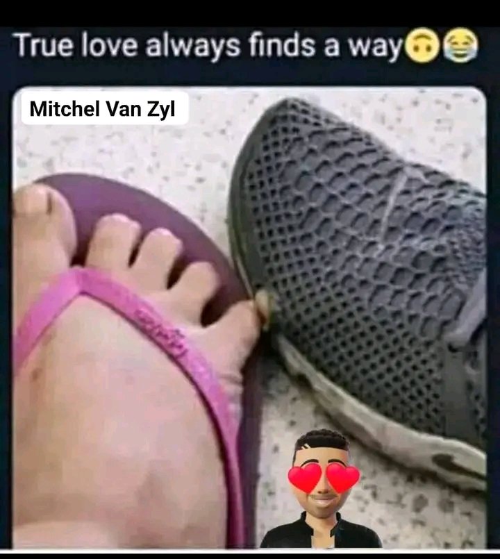 They. Say true love always finds it way 😂😂😂