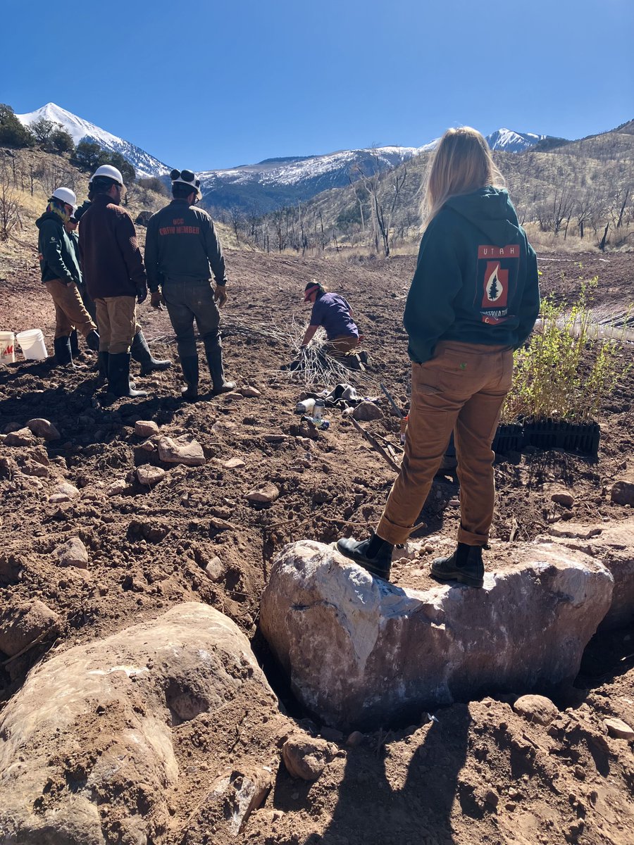 From trail maintenance to habitat restoration after disasters, our members of @UtahCCorps are dedicated to supporting environmental stewardship efforts across the state. Check out their #Service fighting #ClimateChange and protecting Utah's environment. ⤵️