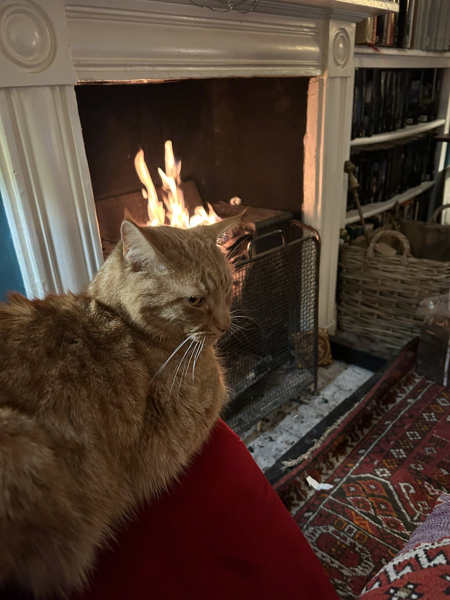 Enjoying the fire on a chilly spring evening.