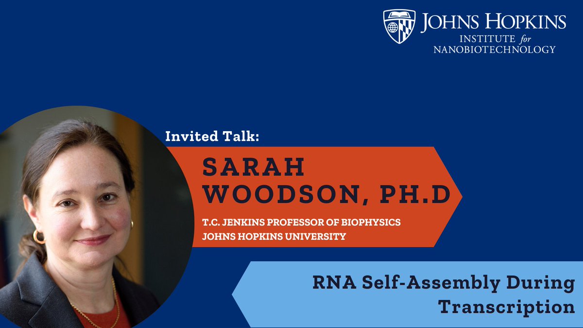 With her talk 'RNA Self-Assembly During Transcription,' T.C. Jenkins Professor of Biophysics, Sarah Woodson, will be on our guests for our 17th Nano-Bio Symposium on 5/13. Learn more and register here: inbt.jhu.edu/rna-innovation…