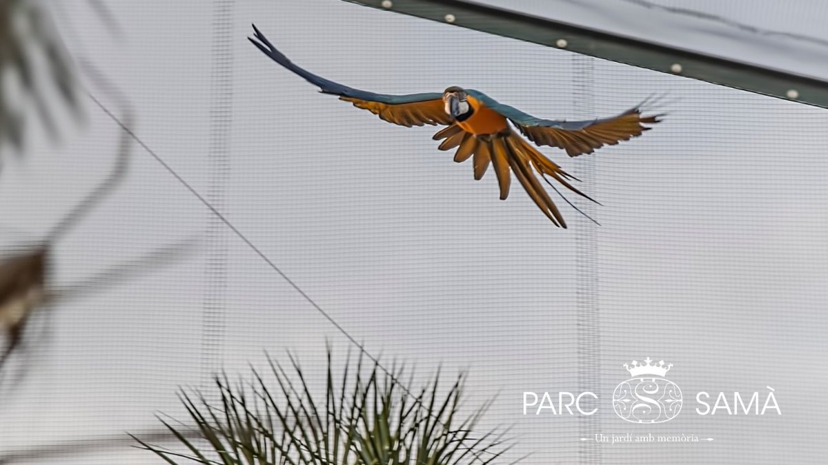 #ParcSama, la destinació perfecta per a tota la família a #Cambrils i la #CostaDaurada 😍 👉Descobriu atraccions com el Parterre d'Aloe Vera i l'Aviari Marianao, una experiència inoblidable per a grans i petits! #ParterreDeLaInmortalitat #Aviari #Natura #Biodiversitat #AloeVera