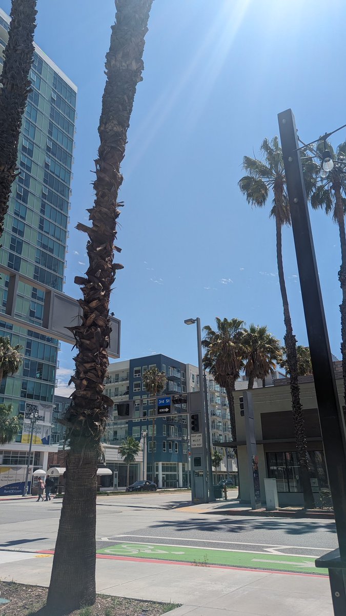 Perfect weather to work outside