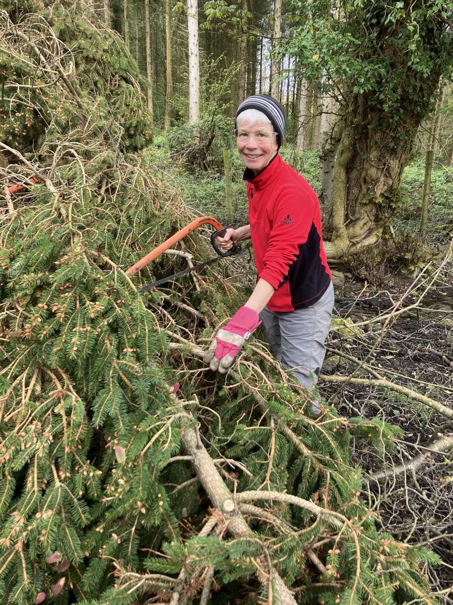 1/2 Assessing and repairing storm damage at ⁦@WildSheffield⁩ Carr House Meadows Reserve ensuring the fields are stock proof for the imminent arrival of cattle and calves.