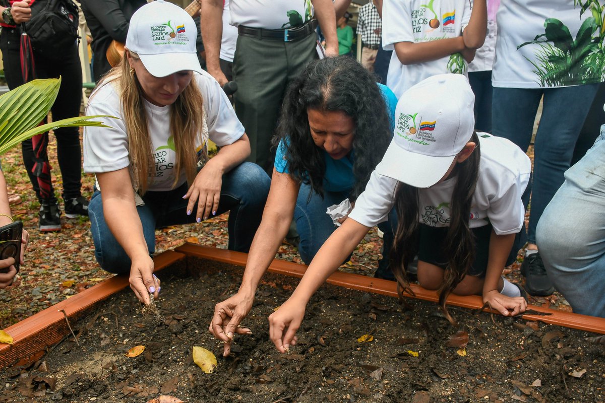 'El ensemillamiento está Maduro, todas las manos a la siembra'. Promovemos la soberanía agroalimentaria de la Patria, enseñando desde las primeras etapas de aprendizaje el valor de la producción agroecológica. @NicolasMaduro @jhoagaby @MPPEDUCACION
