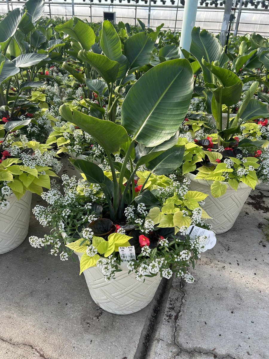 GCG Merchandising tweet media