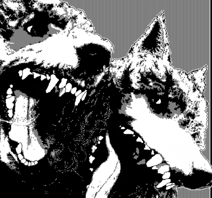 TolyaTheKrator's tweet photo. if you recognize these dogs you’re probably really annoying https://t.co/BVldJDSK73
