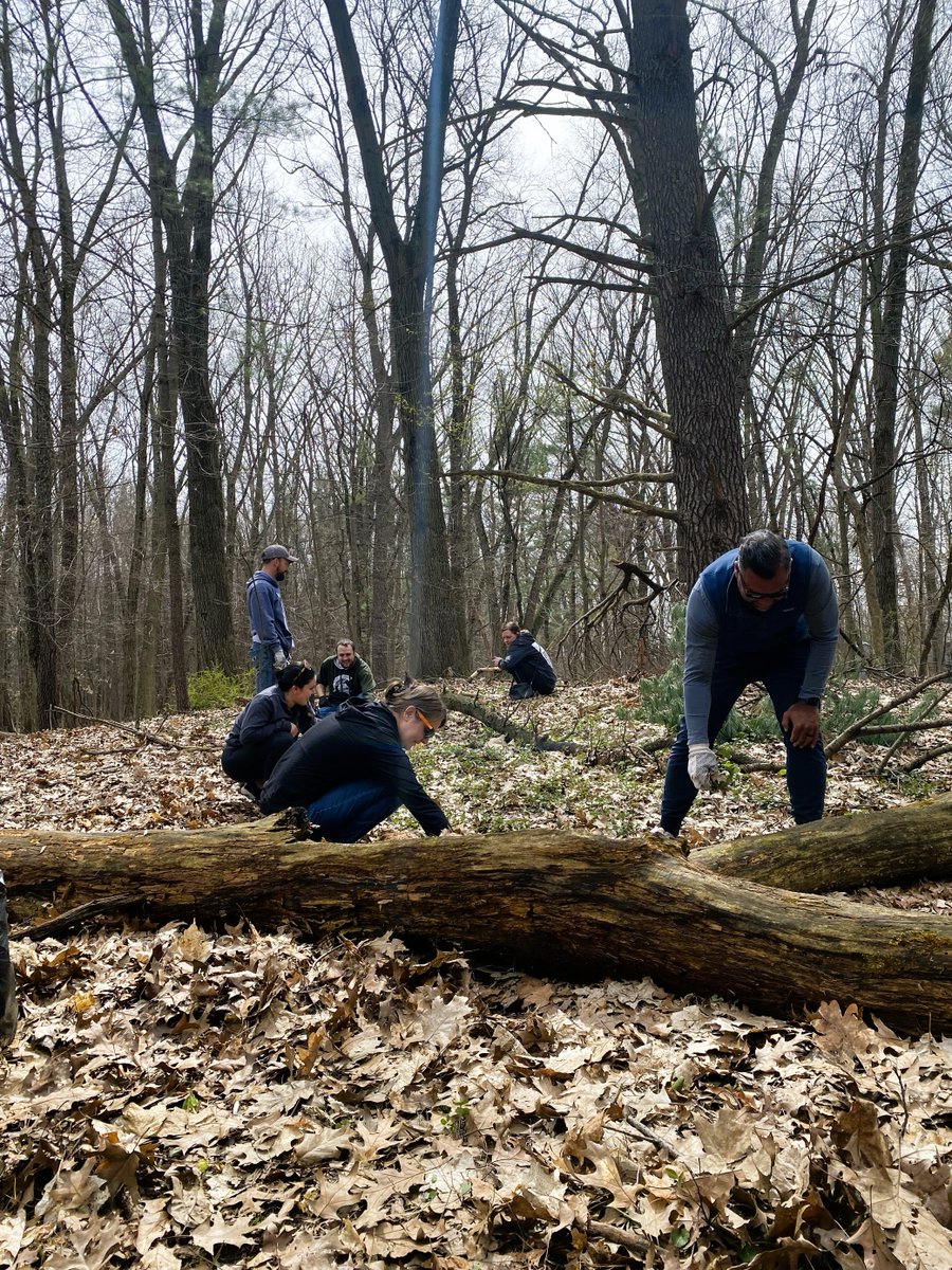 SecurAlarm's tweet image. We truly enjoyed supporting Kent County Parks by helping pull almost 150 pounds of garlic mustard at Palmer Park! 

Thanks for contributing your time and effort, Team!

#communityservice #parkcleanup #volunteering #teambonding #givingback