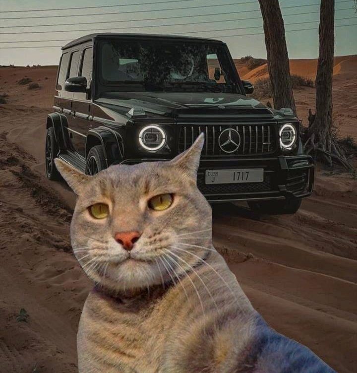 Alien_web3's tweet photo. فردا رکورد جدیدی رو ثبت میکنیم! 
امروز اپدیت شدن امتیازای بابل، ایونت کوکی توی دبی، زمان پایان فارم پارام و … یه جون تازه به همه داد🦾

$PARAM 👽 @ParamLaboratory
$BUBBLE 👽 @Imaginary_Ones
$BEYOND 👽
$COOKIE 👽
$PIXIZ 👽
$TRIP 👽 @PlayOverTrip
$DROIDS 👽
$XTER 👽 @XterioGames https://t.co/juRVqwOvna