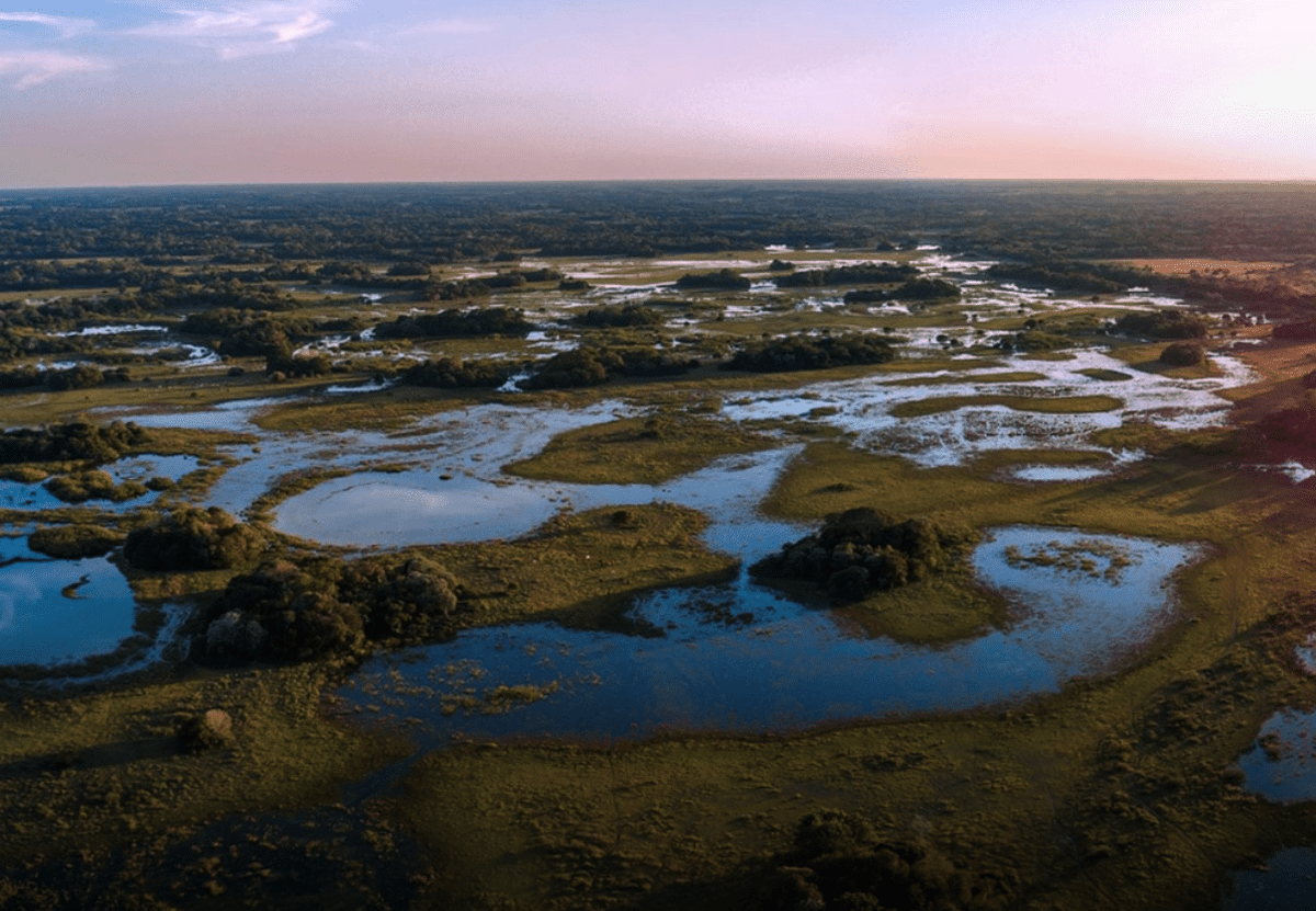 Impact Investing Think Tank tweet media