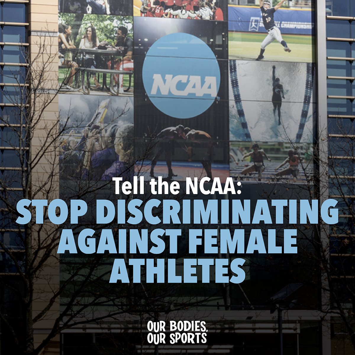 Calling all NCAA female athletes: Tell the NCAA to protect women’s collegiate sports‼️ Use the form linked below to email each member of the NCAA Board of Governors to tell them to establish a new policy to keep women’s sports female. #OurBodiesOurSports iwf.org/tell-the-ncaa-…