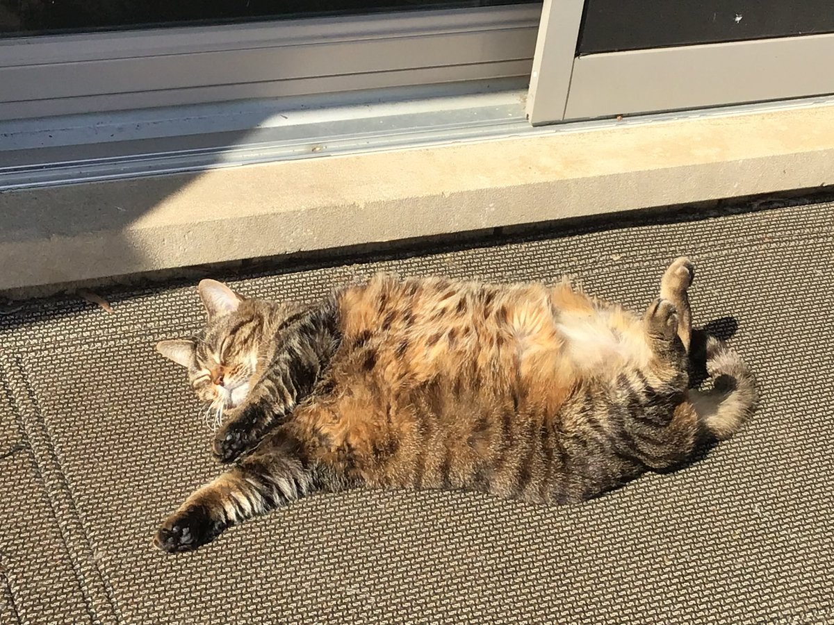 Enjoying the sun on my deck