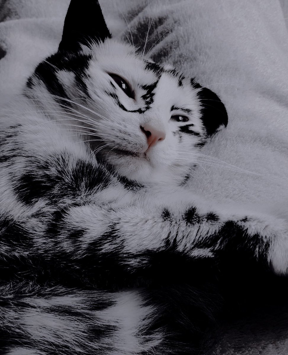 ㅤㅤㅤㅤㅤㅤㅤㅤ

welcome to your new home baby, your dads love you dearly. 

ㅤ