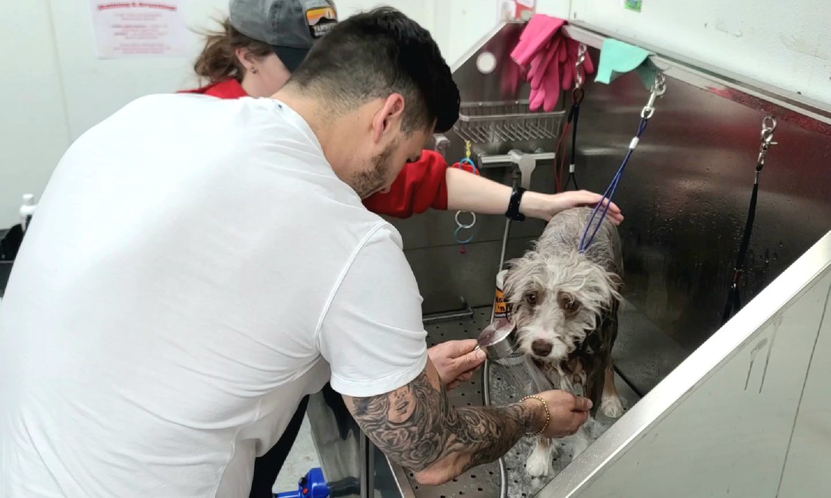 Yesterday, @weega52 and his fiancé Maggie visited Parachutes for Pets to spend some time with clients of the Weegz & Wagz program, and of course a few furry friends 🐶