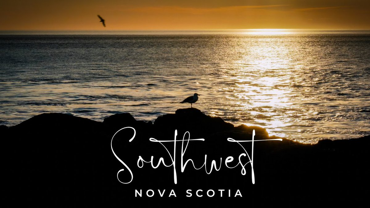 explorewithwade's tweet image. Have you ever traveled the coast in southwest Nova Scotia? Often overlooked as a travel destination for many I think it is a must visit and should be on everyone's list to explore this beautiful part of Canada. Let me know what you think.
youtu.be/ex8OiGle5ec
