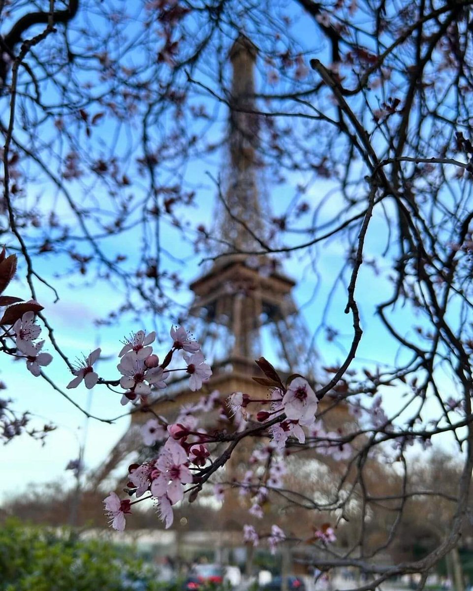 #toureiffel #printemps #Paris2024