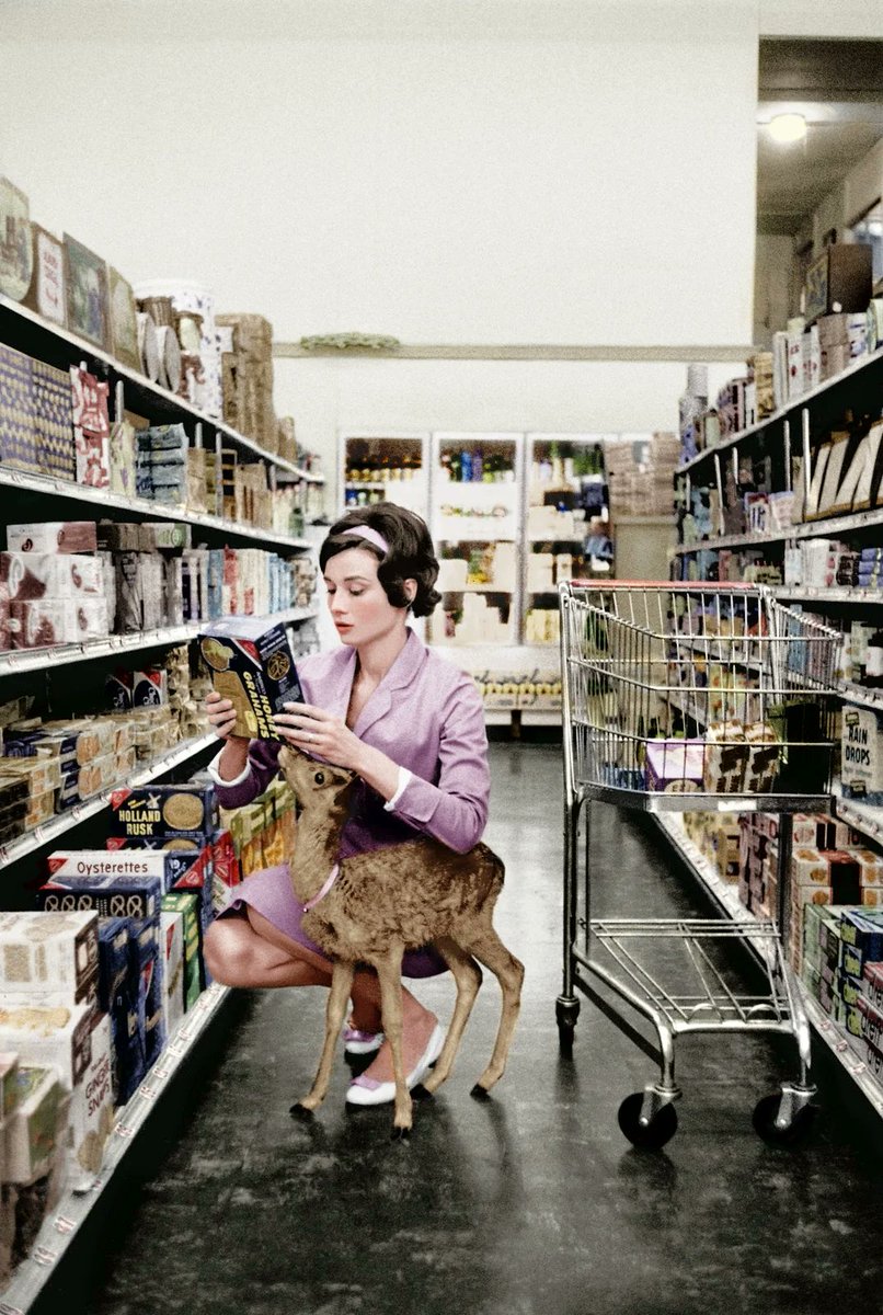 When Audrey Hepburn was making her film 'Green Mansions', the animal trainer recommended Audrey take home the baby deer so it would learn to follow her on set during the movie (and as needed for her role). Audrey fell in love and napped, shopped, and ate with the doe she named