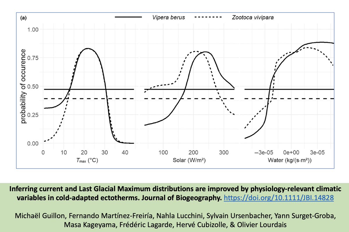 New paper Alert! Climatic predictors ☀️🌡️🌧️relevant to species hydric and thermal physiology better proximate distribution patterns in two cold-adapted ectotherms🐍🦎 @MichaelGuillon @Ecophy_CEBC @Sentinellesdc @UnivLaRochelle @AgenceRecherche doi.org/10.1111/JBI.14…