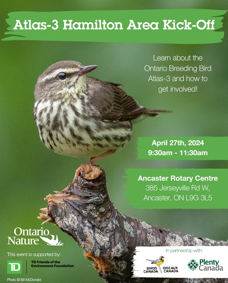 Don’t forget to register for the Hamilton area Kick-off event! @OntarioNature will be hosting a regional Kick-off event in Ancaster on April 27 at the Ancaster Rotary Centre. Visit our website to register and to see a list of all regional kick-off events: birdsontario.org/year-4-kickoff…