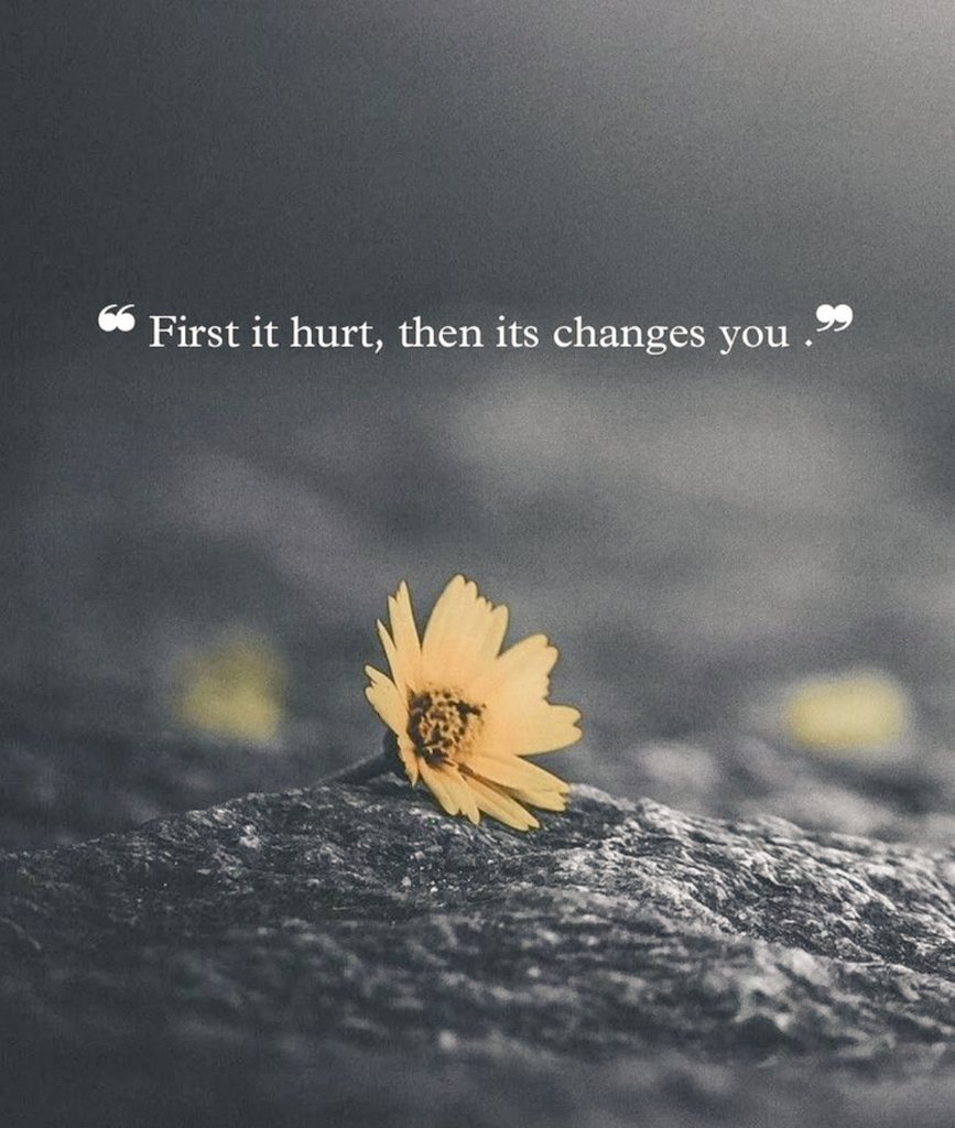 Mind Essentials (@mind_essentials) on Twitter photo 