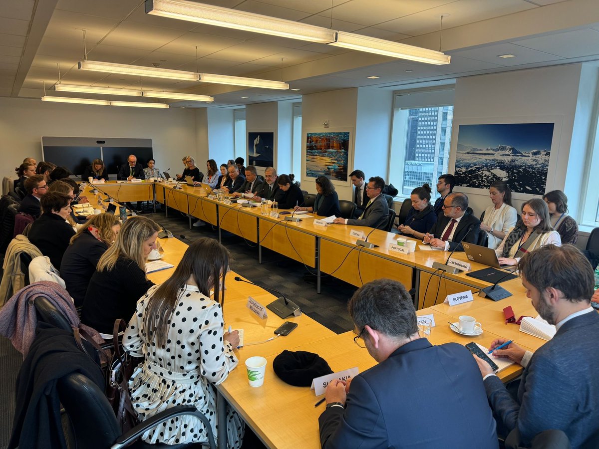 We thank @EUatUN for organizing today’s briefing by Mr.Refat Chubarov, Chairman of Mejlis of #CrimeanTatar People. We must put an end to Russia's war against Ukraine & its violations in the temporary occupied territories of 🇺🇦 including the Autonomous Republic of Crimea.