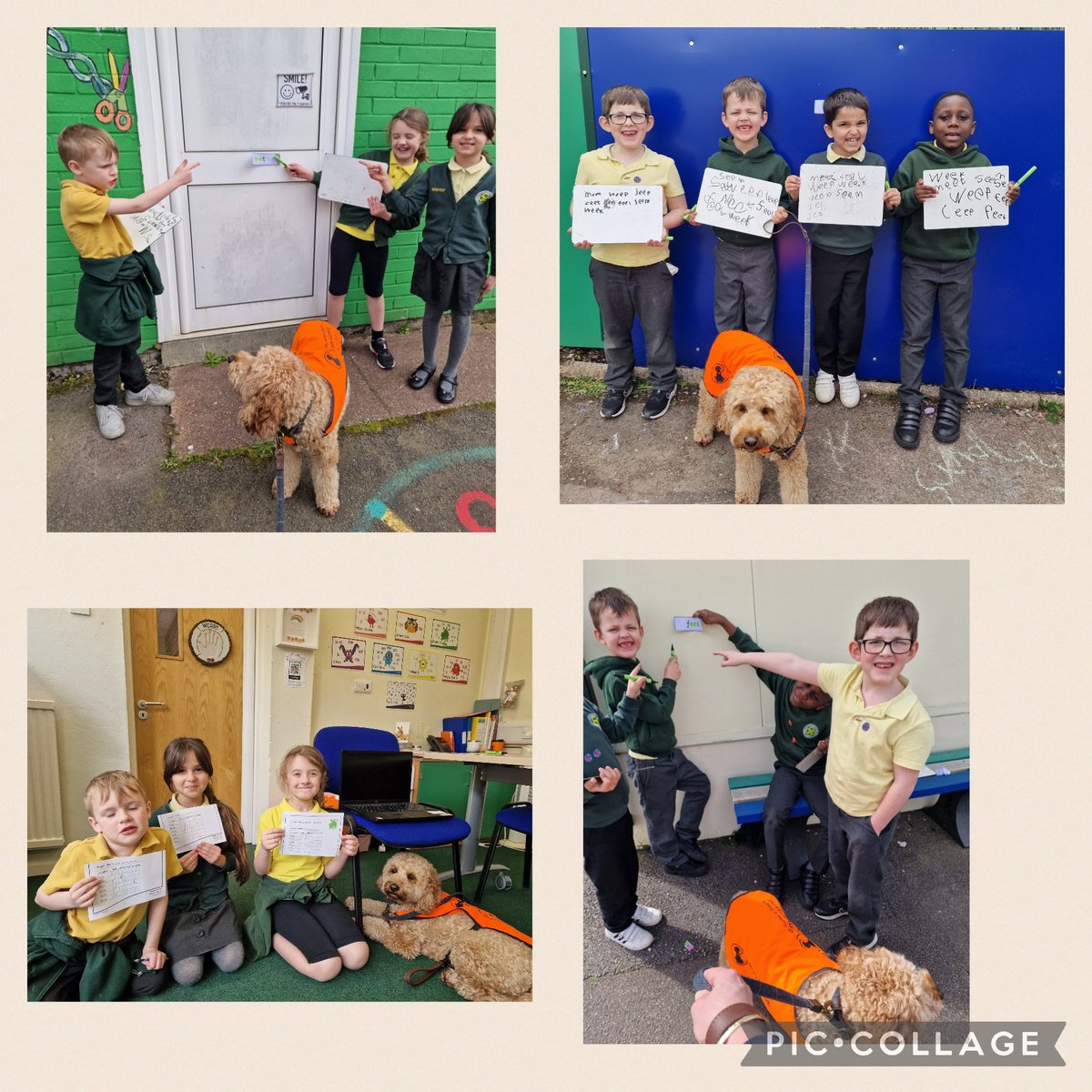 DogMentorSTM's tweet photo. This week, Dougie has been busy helping pupils in year 2 with a monster phonic sound hunt! He helped them sniff out words with the "ee" sound whilst green froggy was having a nap.  He also enjoyed a walk and visits from his friends 🧡 
@MonsterPhonics 
@DougieCNS 
@thedogmentor https://t.co/HsVoVtjIa8