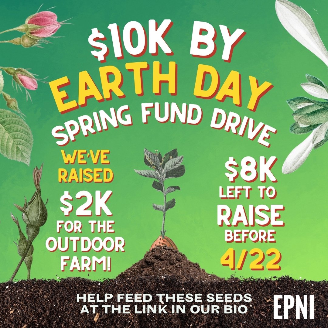 This spring we're planting seeds that will nourish East Phillips for the long haul 🌱 
And now, we need funds to buy equipment like a solar-powered water pump, storage tanks, and a few wheelbarrows. Help us hit this goal by chipping in at any amount here: actionnetwork.org/fundraising/ep…