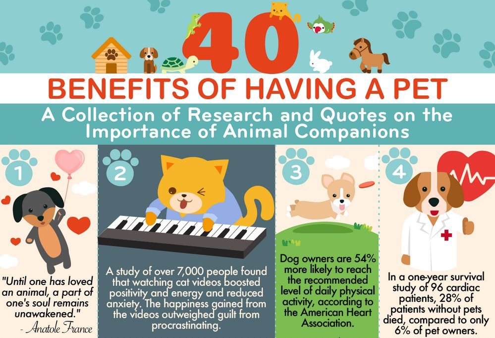 'Dog ownership was associated with lower cholesterol and triglyceride levels in a large Harvard study.' For #DogAppreciationMonth, here are 40 wonderful science-backed benefits to having an animal companion in your life: buff.ly/3Q6CrFH! #Dogs #RescueDog